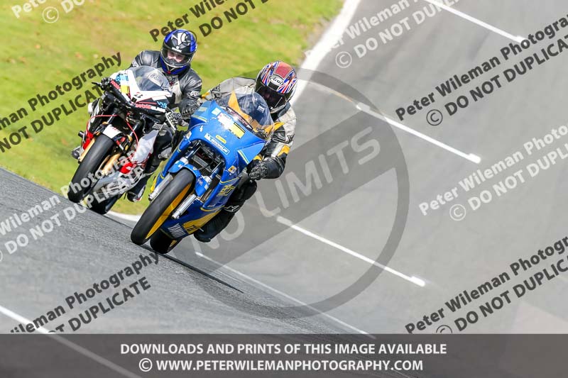 Oulton Park 20th March 2020;PJ Motorsport Photography 2020;anglesey;brands hatch;cadwell park;croft;donington park;enduro digital images;event digital images;eventdigitalimages;mallory;no limits;oulton park;peter wileman photography;racing digital images;silverstone;snetterton;trackday digital images;trackday photos;vmcc banbury run;welsh 2 day enduro